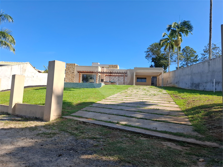 Foto REO1083712