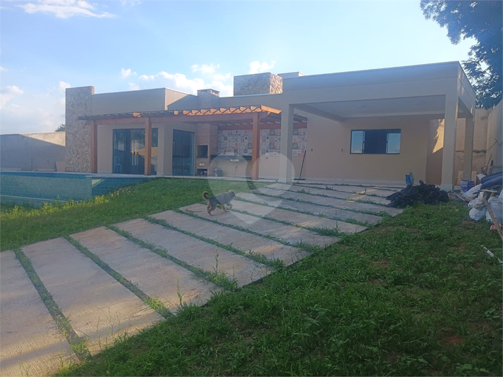 Foto REO1083712