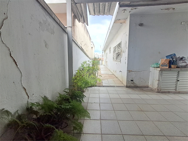 Foto REO1083720