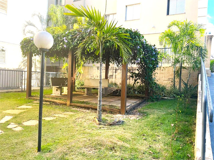 Foto REO1083726