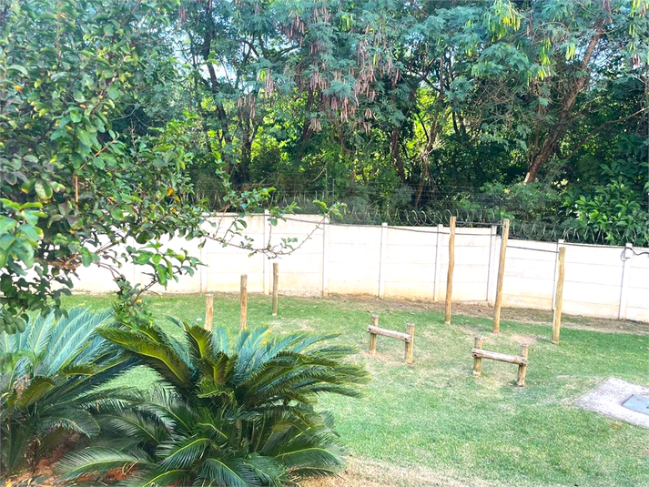 Foto REO1083726
