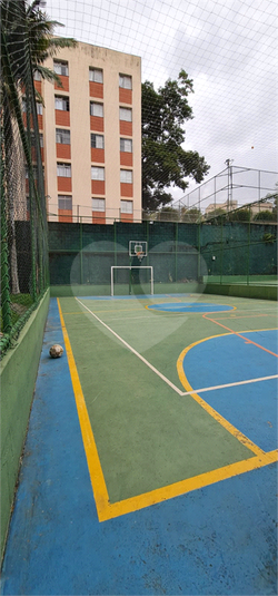 Foto REO1083750