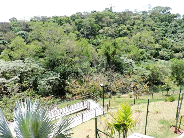 Foto REO1083751