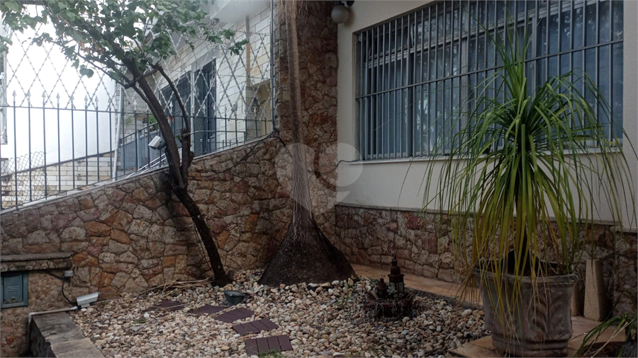 Foto REO1083764