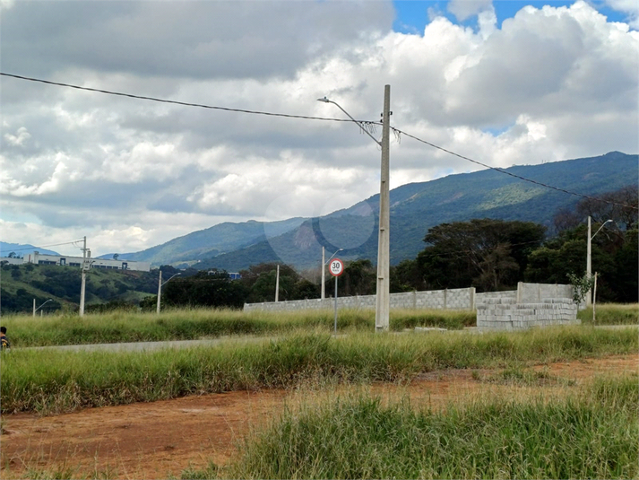Foto REO1083770