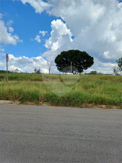 Foto REO1083770