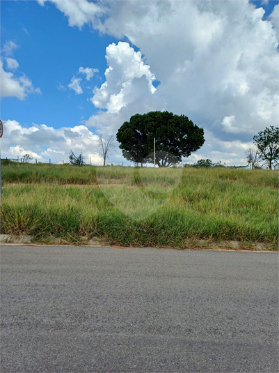 Foto REO1083770
