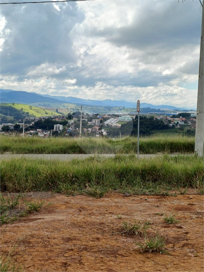 Foto REO1083770