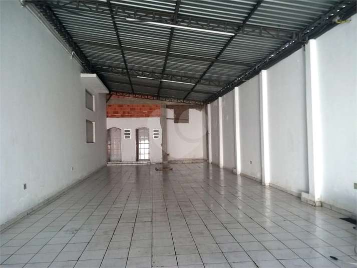 Foto REO1083785