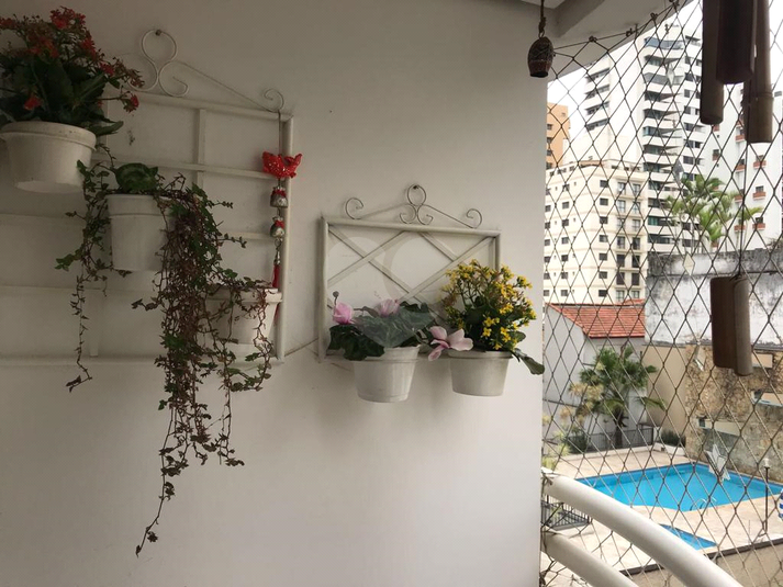 Foto REO1083796