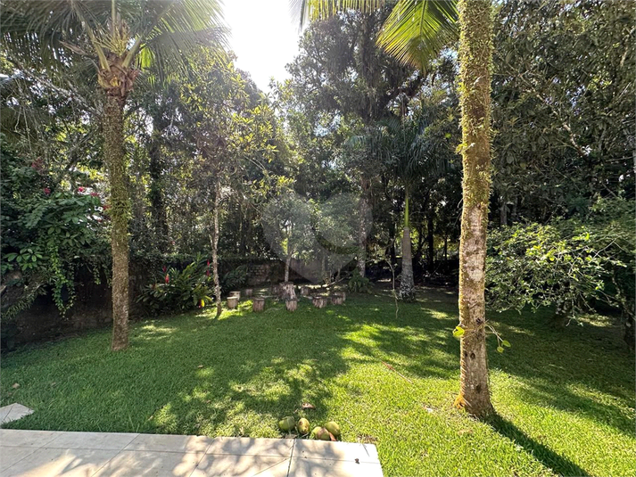 Foto REO1083808