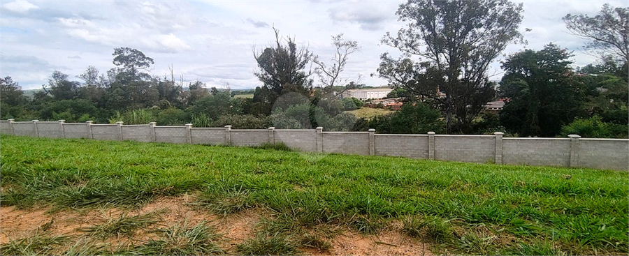 Foto REO1083812