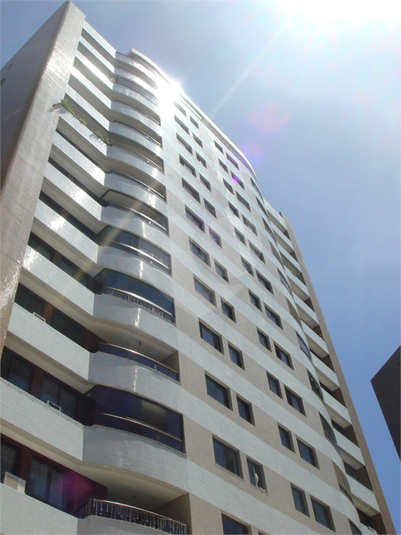 Foto REO1083823