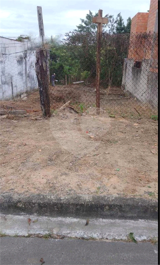 Foto REO1083875