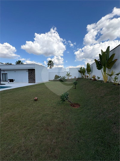 Foto REO1083880