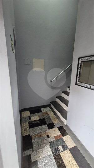 Foto REO1083907