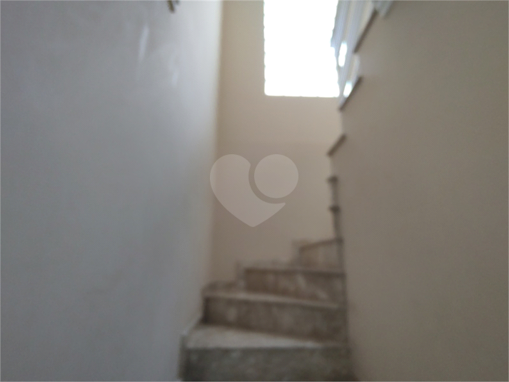 Foto REO1083910