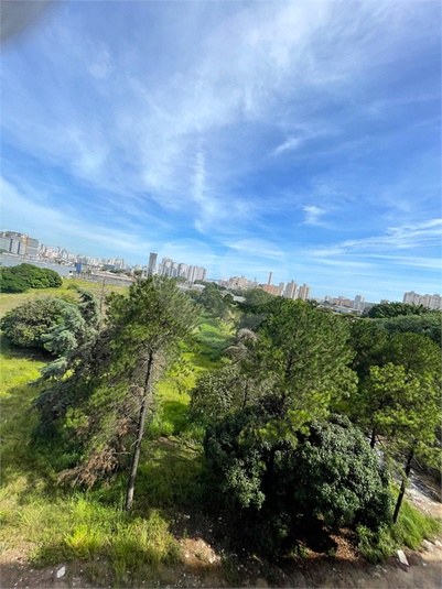 Foto REO1083911