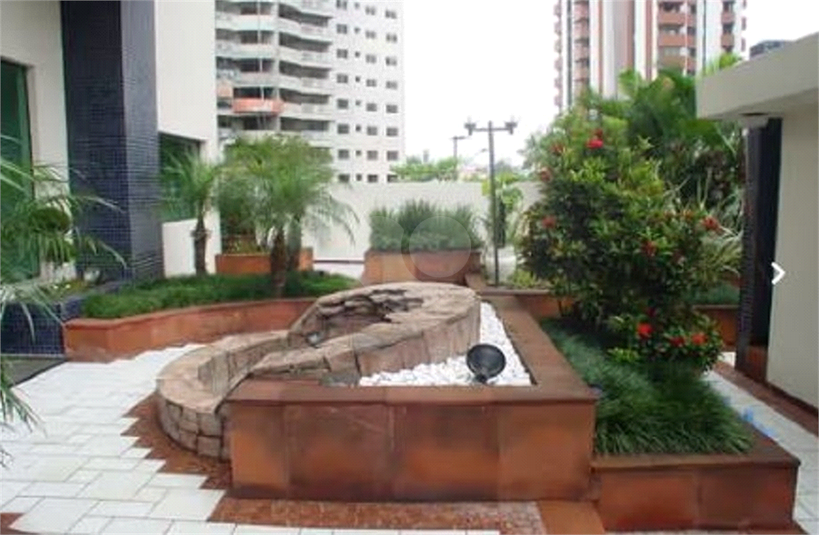Foto REO1083922