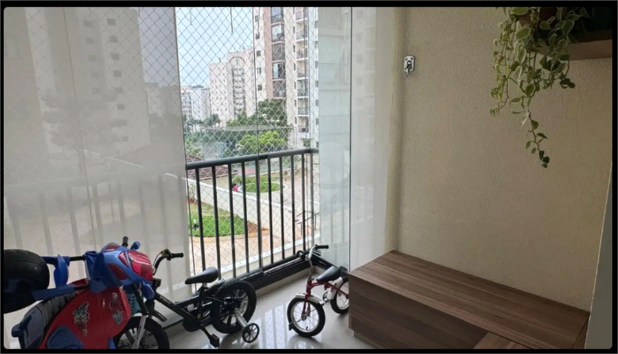 Foto REO1083947