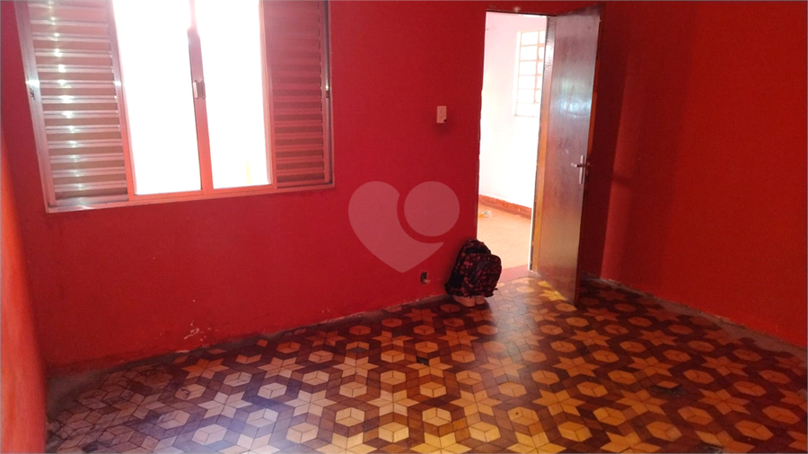 Foto REO1083994
