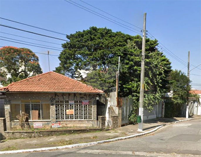 Foto REO1083999