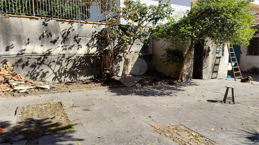 Foto REO1083999