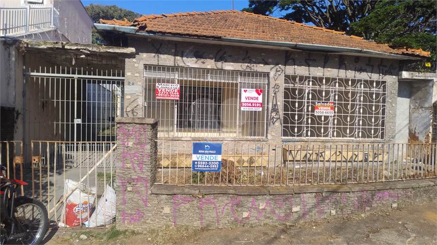 Foto REO1083999