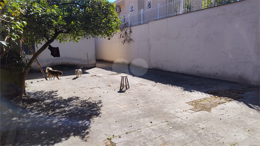 Foto REO1083999