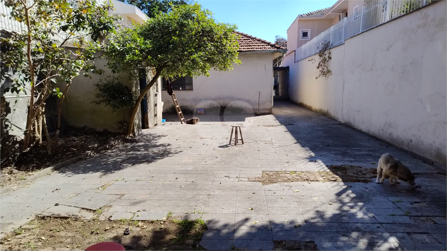Foto REO1083999