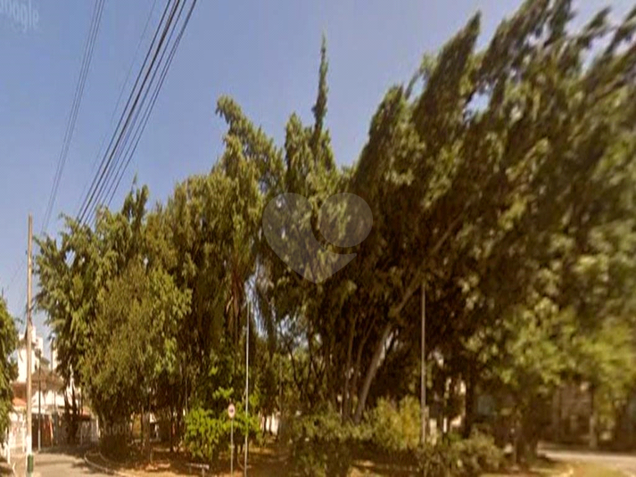 Foto REO1083999