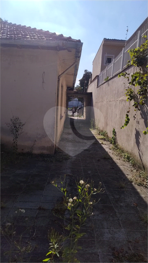 Foto REO1083999