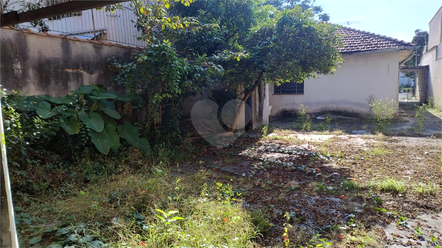Foto REO1083999