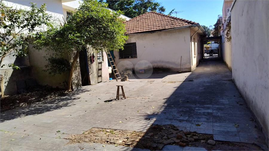 Foto REO1083999