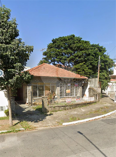 Foto REO1083999