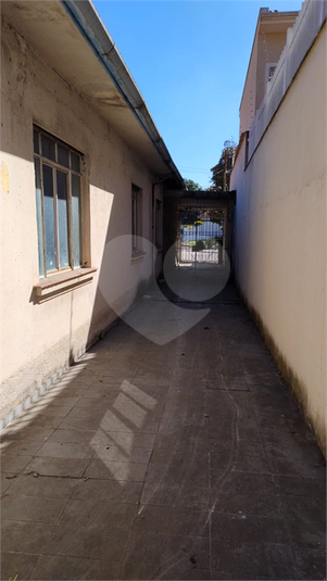 Foto REO1083999