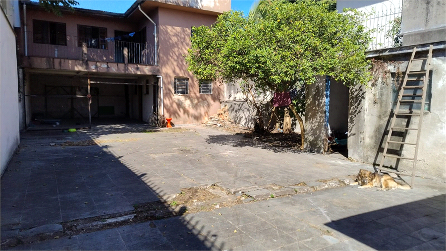 Foto REO1083999