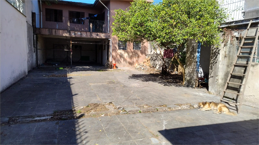 Foto REO1083999