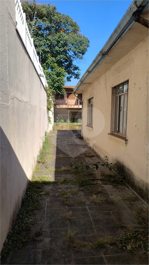 Foto REO1083999