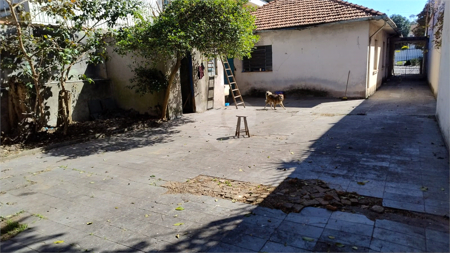 Foto REO1083999