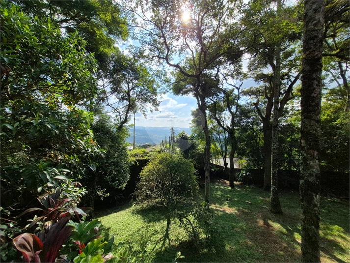 Foto REO1084022