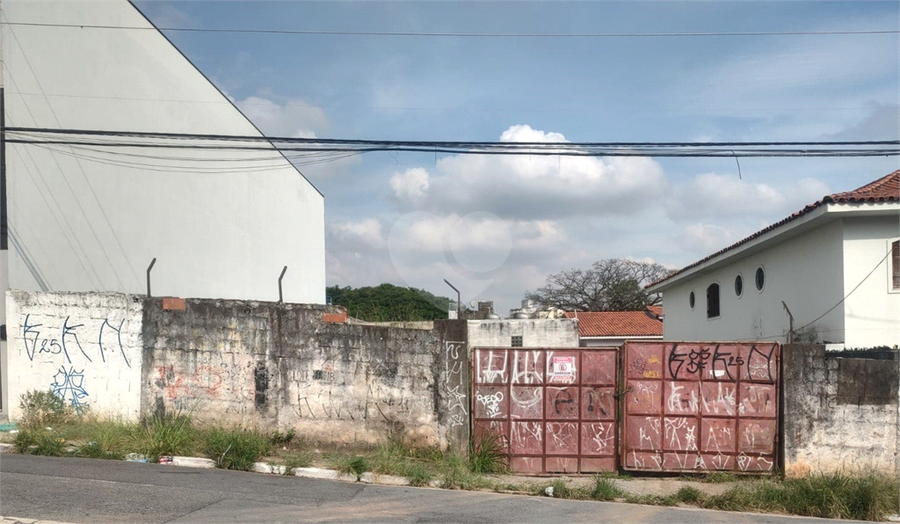 Foto REO1084036