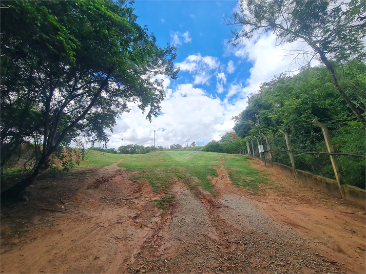 Foto REO1084082