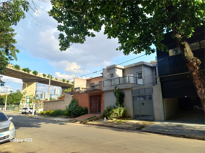 Foto REO1084088