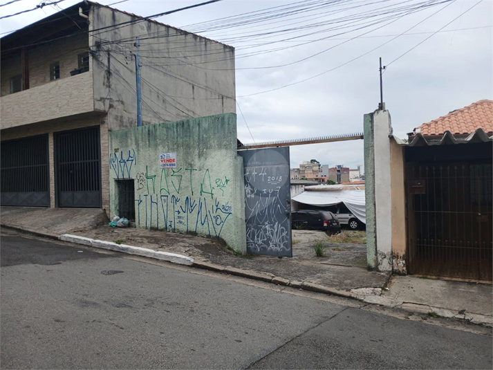Foto REO1084090