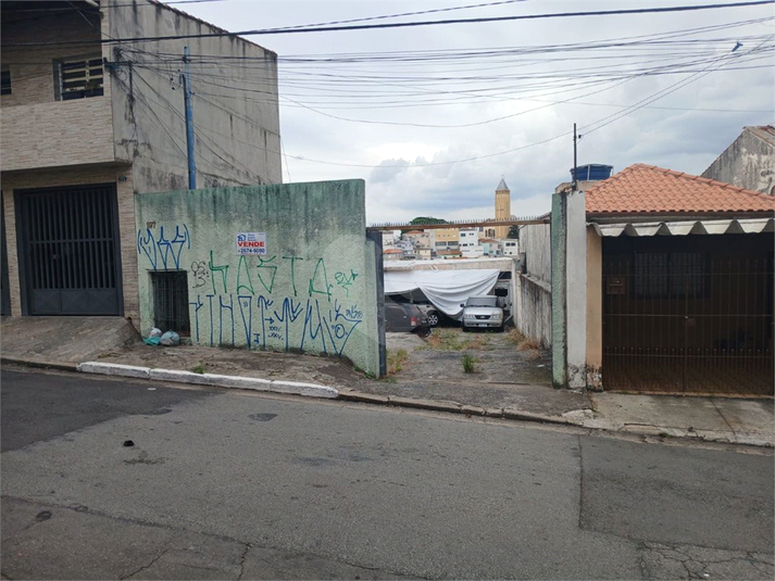 Foto REO1084090