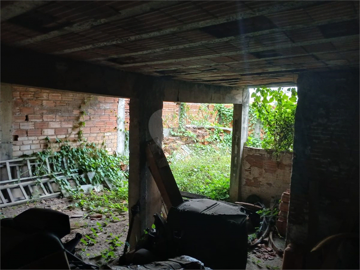 Foto REO1084090