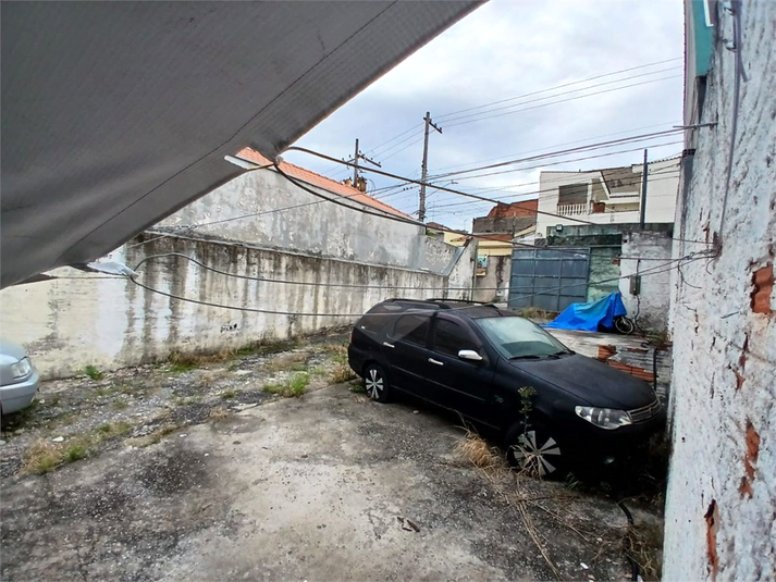 Foto REO1084090