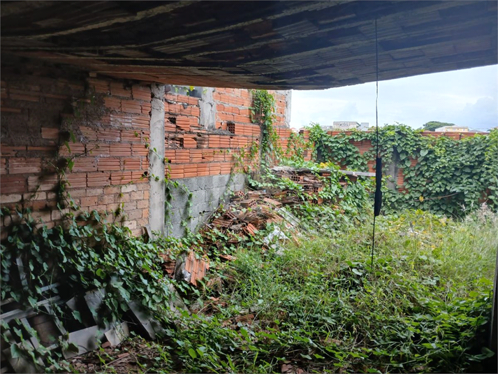 Foto REO1084090