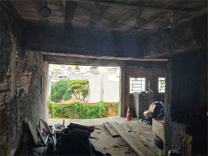 Foto REO1084090